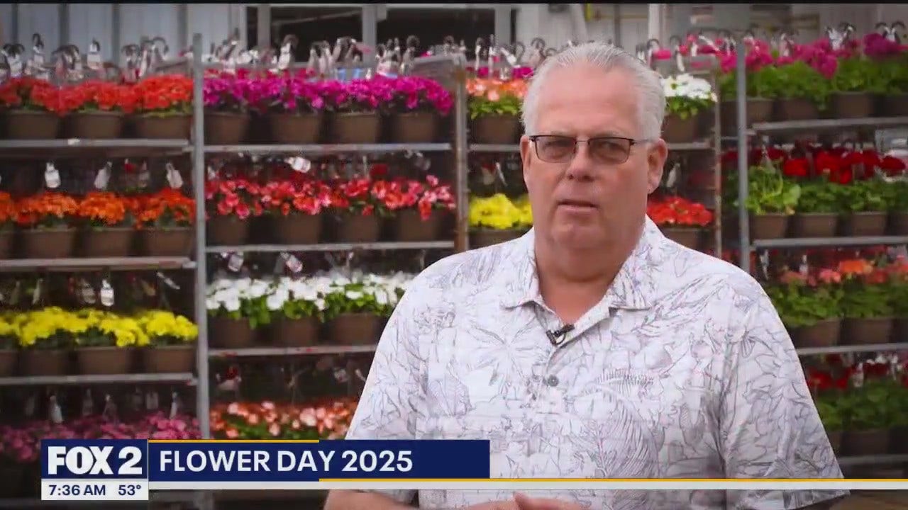 Preparing for Flower Day at Eastern Market [Video]