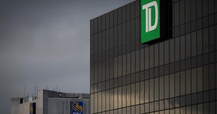 Is Canada heading for recession? One economist says it may lack severity – National [Video]