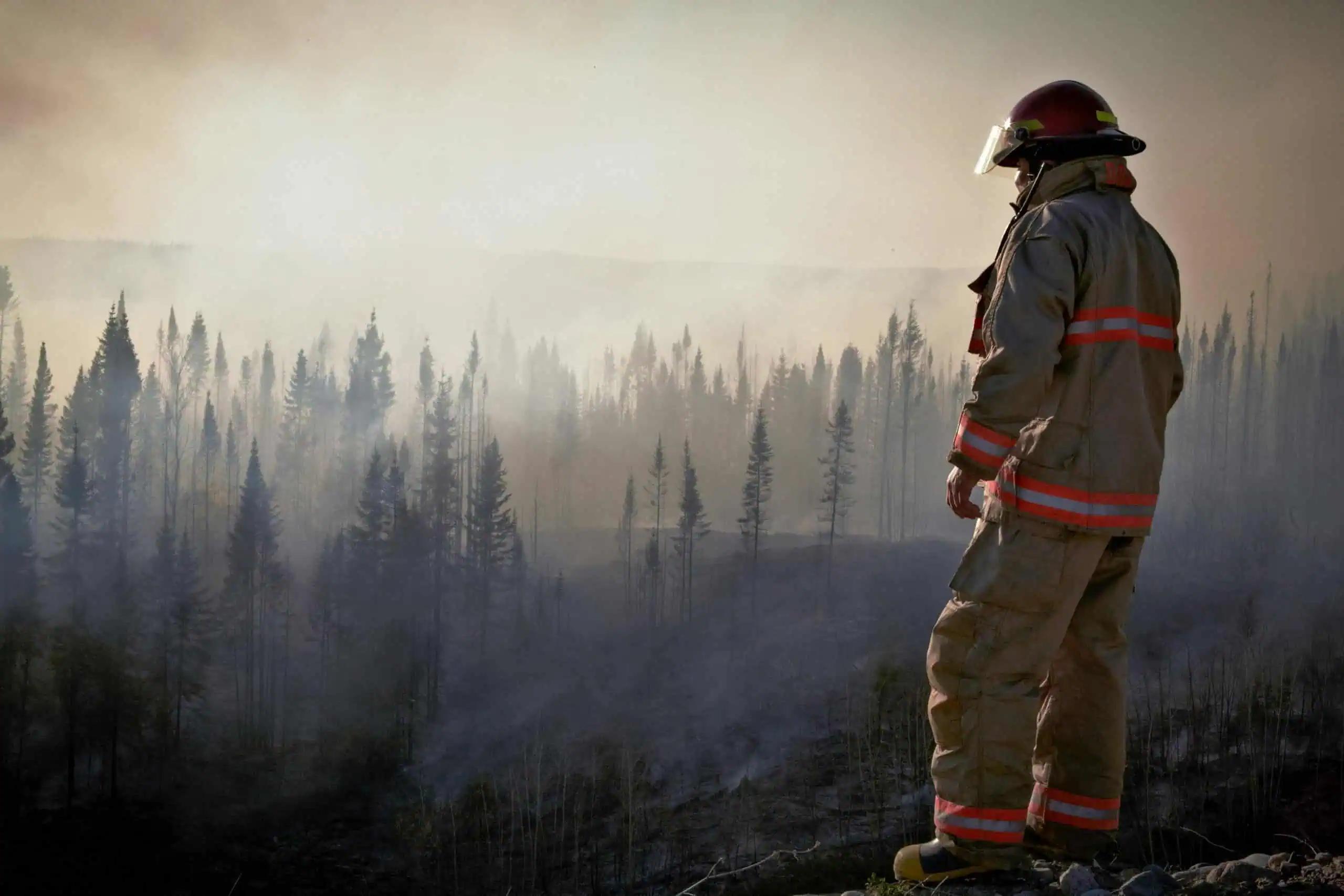 Majority of Canadian businesses concerned how tariffs will impact wildfire and climate costs [Video]