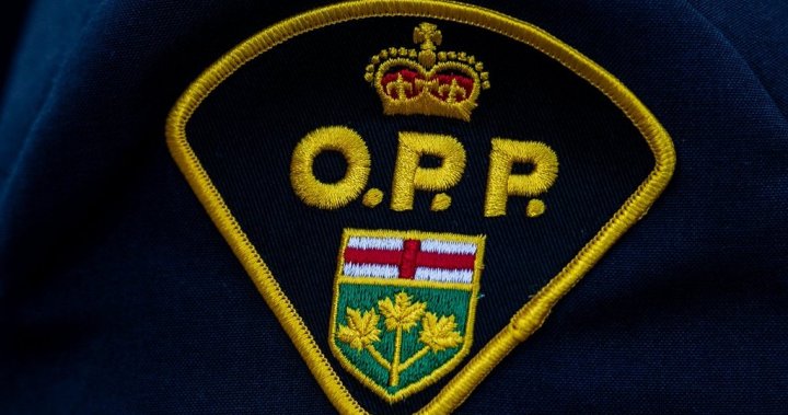 Police charge Ontario man for not having life jacket on paddle board [Video]