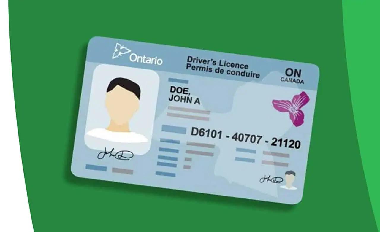 New location allows for renewals of driver’s licences, health cards in Brampton [Video]