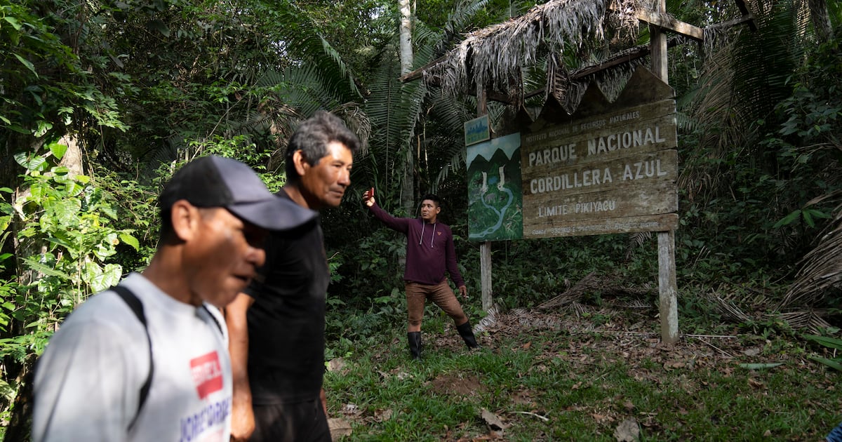 Peru court rules in favor of Kichwa territorial rights in the Amazon  WSOC TV [Video]