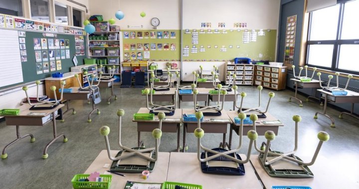 N.B. education minister says more school funding could be in the cards – New Brunswick [Video]