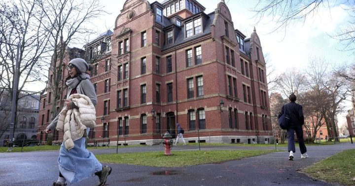 Trump admin bars Harvard from enrolling international students - National [Video]