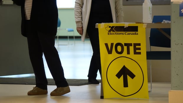 After nearly 2 weeks, results of Terra Nova-The Peninsulas recount expected Friday [Video]