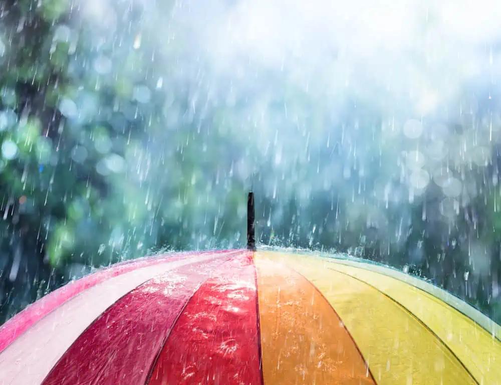 Weather statement issued with more rain on the way for part of Ontario [Video]