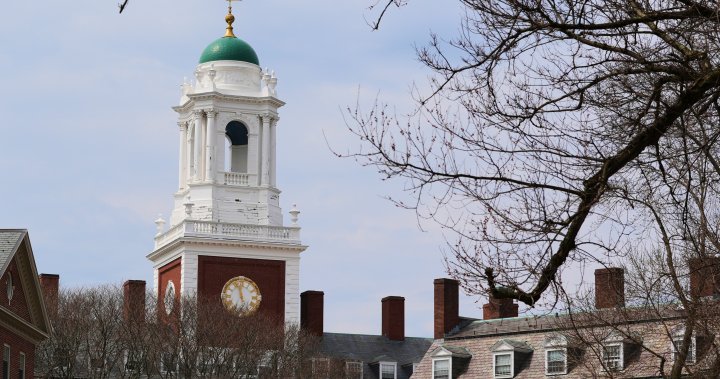 U.S. judge blocks Trumps ban on Harvards foreign enrolment: reports – National [Video]
