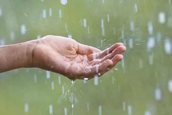 May 24 weather: Chance of showers to start the weekend in southern Ontario [Video]