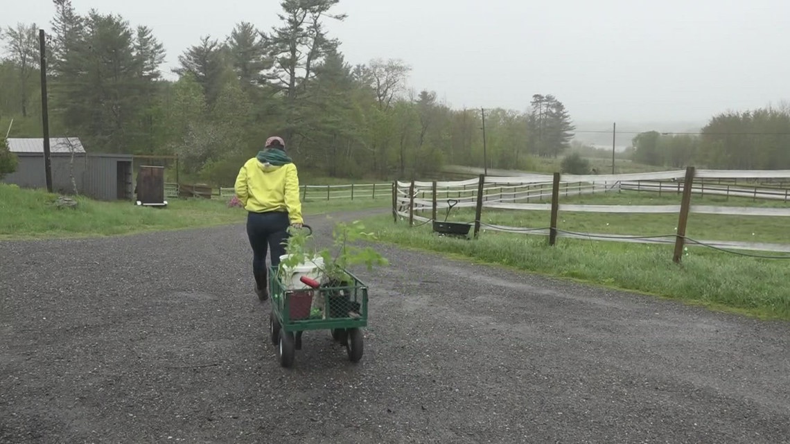 Wabanaki-led group plans food hub, community space in Penobscot Bay region [Video]