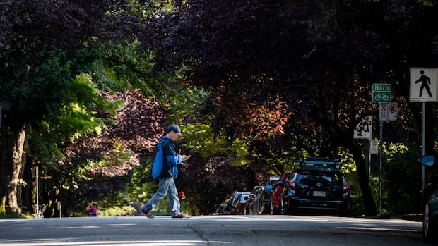 Vancouver’s new urban forest strategy faces challenges, academic says [Video]