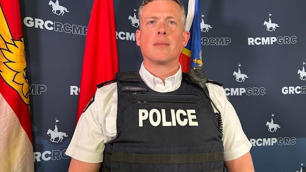 Many Islanders unsatisfied with how police deal with some crimes, report suggests [Video]