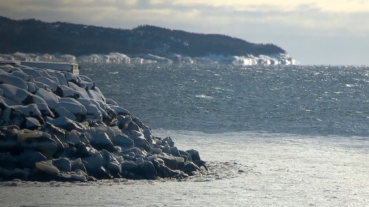 Water temperature in the Gulf of St. Lawrence was the hottest ever recorded in 2024 [Video]