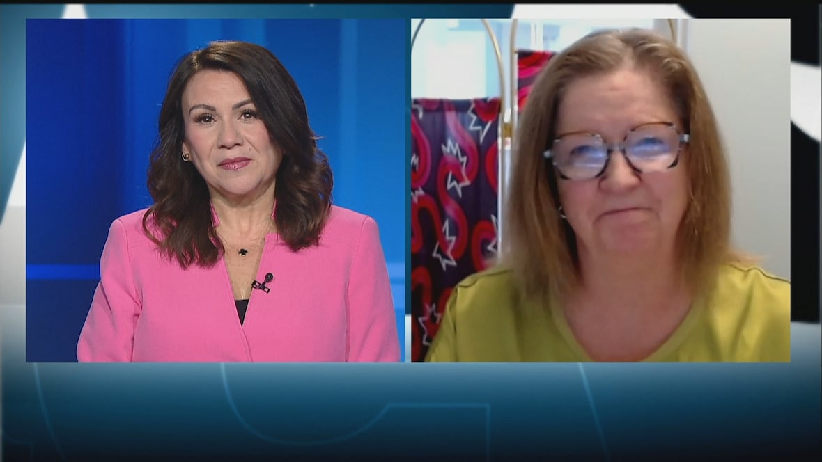 A new report says P.E.I. can better help its homeless population. Heres how it could work [Video]
