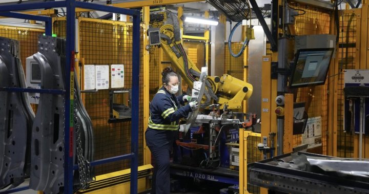 Ottawa not looking to penalize Canadian firms offshoring jobs to U.S. – National [Video]