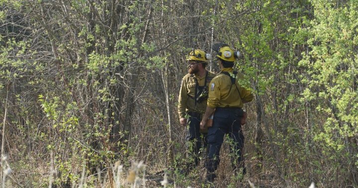 Evacuation orders, restrictions in effect across Saskatchewan as wildfires spread [Video]