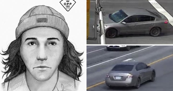 From 0 to 100: Man wanted after elderly woman beaten following Ontario crash [Video]