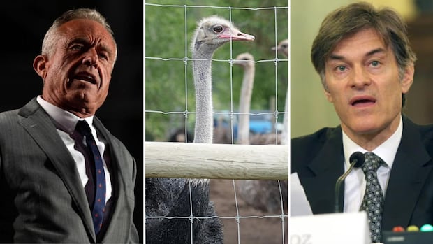 Dr. Oz, billionaire John Catsimatidis offer to take B.C. ostriches ordered killed due to avian flu [Video]