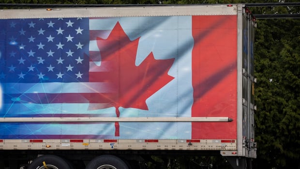 Bellingham, Wash., council pens letter to B.C. cities amid cross-border tensions [Video]