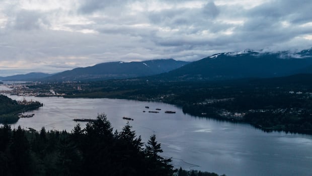 Planning to dredge the Burrard Inlet to maximize oil shipments is underway [Video]