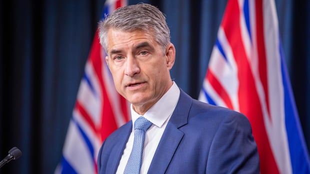 Elections B.C. says 2024 election ‘free and fair’ but marred by ‘false narratives’ [Video]