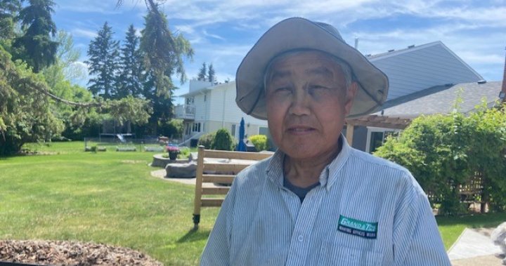 Edmonton senior survives moose attack in own yard: I could be dead [Video]