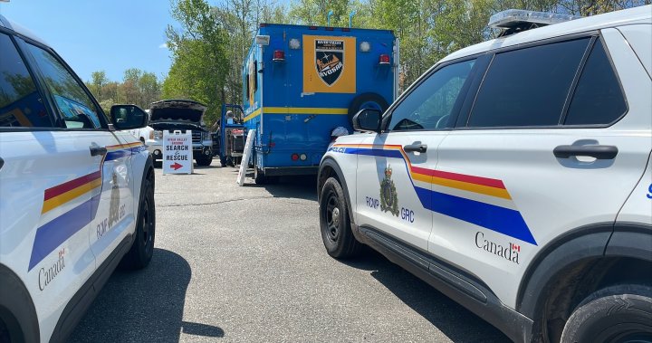We just hope shes found: Family of missing N.B. senior trying to stay hopeful - New Brunswick [Video]