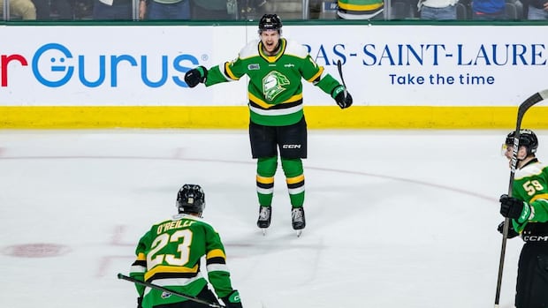 Not all OHL teams are making players take mandatory sexual violence prevention program [Video]