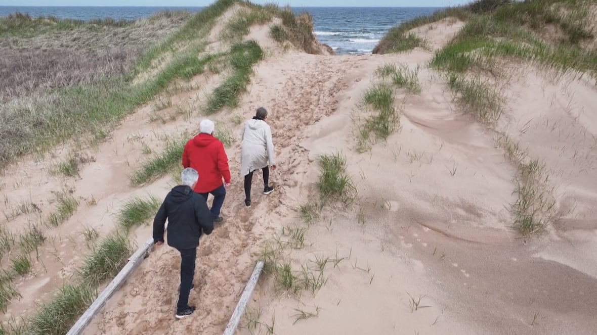 Lakeside, P.E.I., boardwalk to be made more accessible after damage to Fiona [Video]