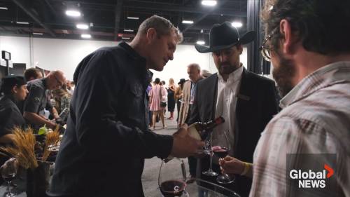 Learn more about Stampede Cellar Uncorked [Video]