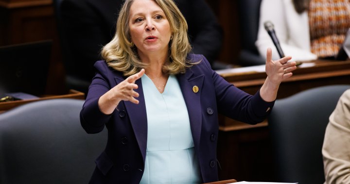 Can the NDP stall Bill 5? Party will use every tool to delay controversial law [Video]