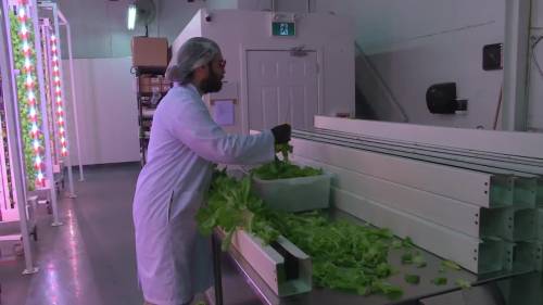 Feed the Need Durham explores vertical farming to help meet rising demand [Video]