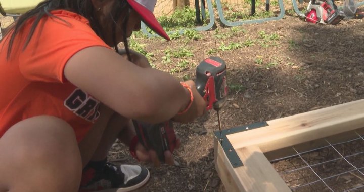 Young students lend a hand at Okanagan animal sanctuary – Okanagan [Video]