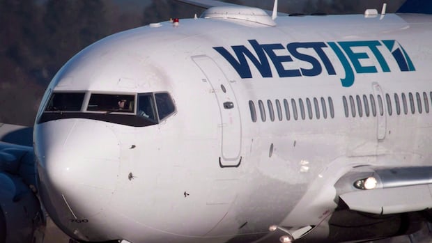 If air passengers don’t pay fees, Canadian taxpayers will, experts respond to WestJet CEO [Video]