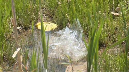 Calls to strengthen Halifaxs approach to tackling litter [Video]