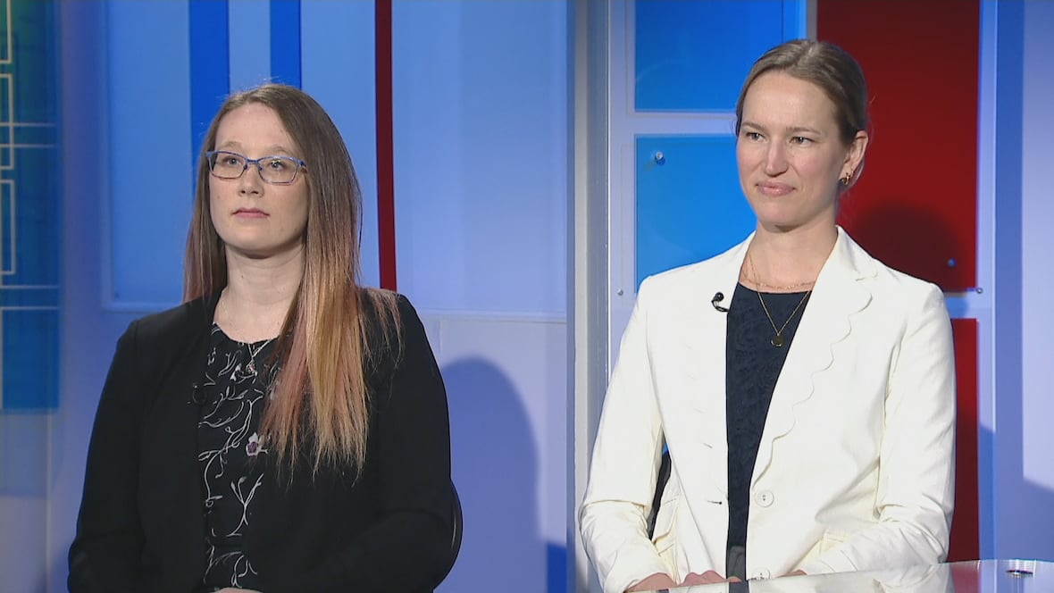 ‘People are looking for the kidnapping or the white van… and that’s just not what it looks like’ [Video]