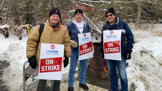 Mayor calls on province to intervene in nearly 5-month-long Vancouver Island transit strike [Video]