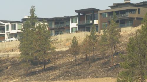 West Kelowna Fire Chief reminds residents to FireSmart their properties [Video]