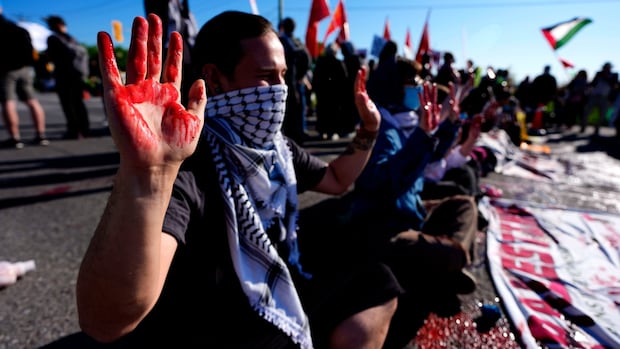Canadian doctors who worked in Gaza call for arms embargo, sanctions against Israel [Video]