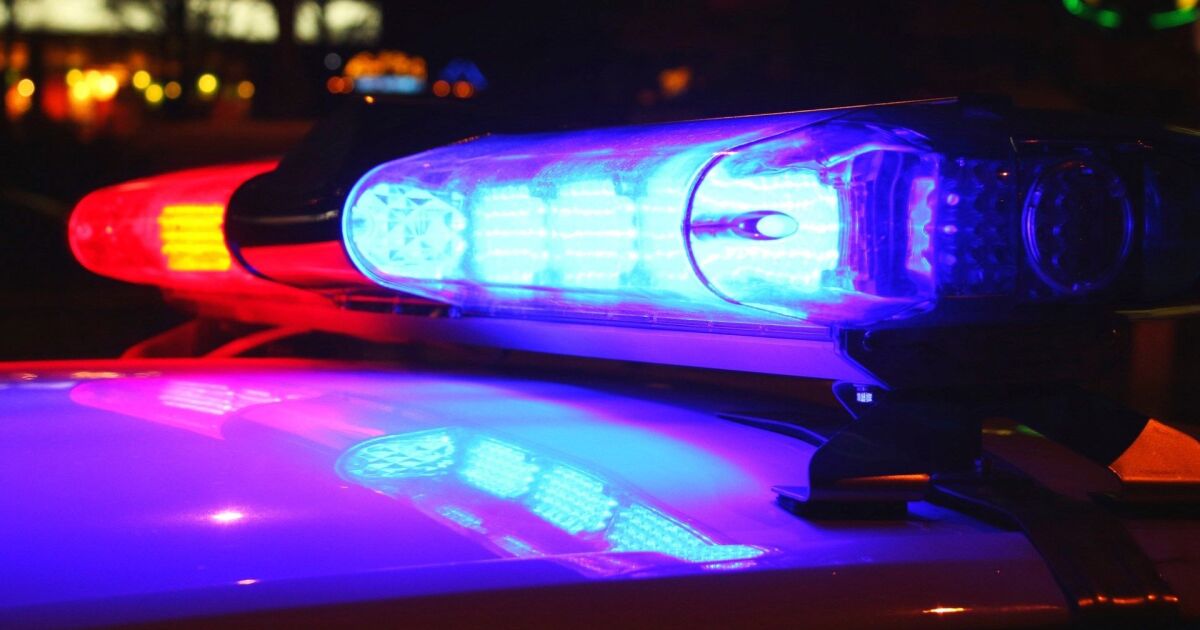 Two kids life-flighted to the hospital after collision with a Bull Elk on I-84 [Video]