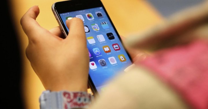 Quebec committee recommends restricting social media accounts for youth under 14 [Video]