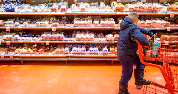 The bread-fixing settlement money could soon roll out. How to get yours – National [Video]