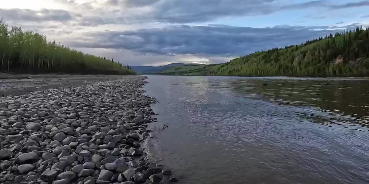 Ferries and birds in Dawson City [Video]