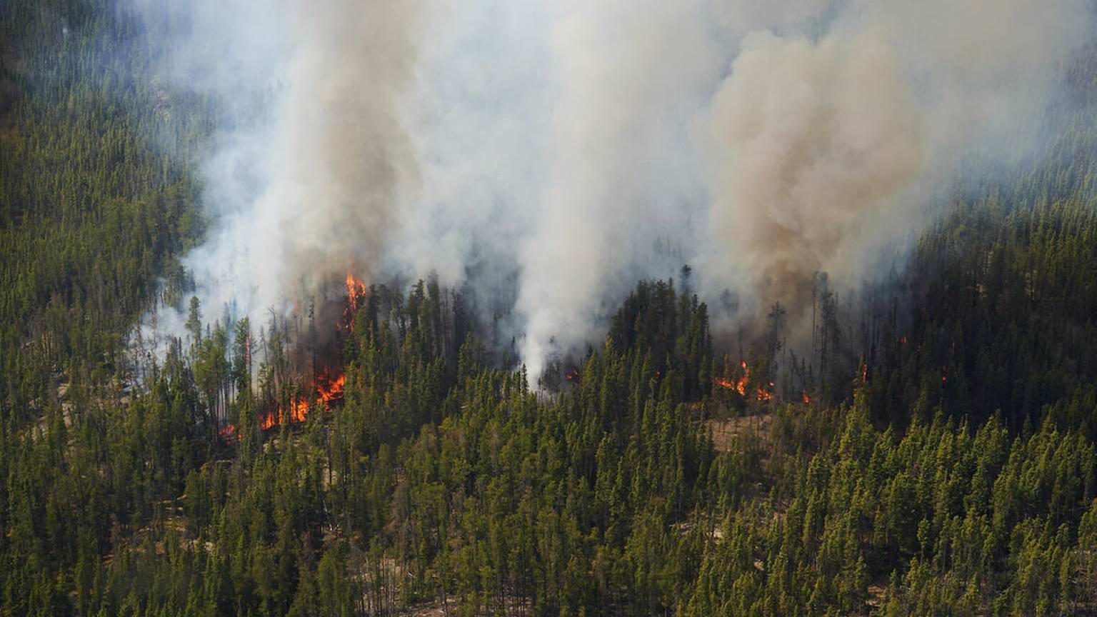 Evacuee recalls fleeing raging wildfires in northern Manitoba [Video]