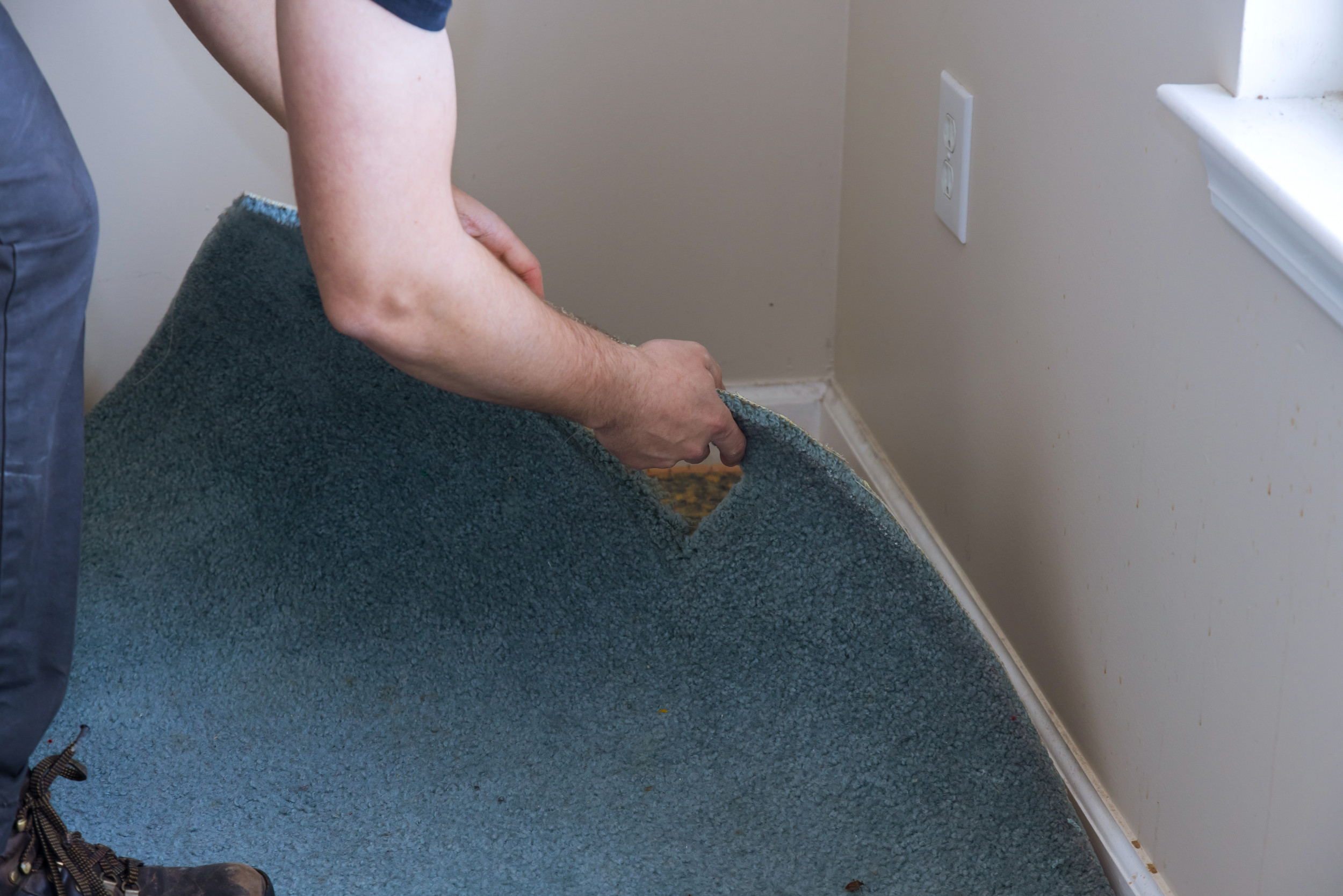 Homeowner Decides To Rip Up CarpetWhat She Finds Stuns Viewers [Video]