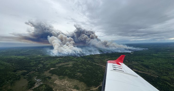 Out-of-control wildfire triggers evacuation near B.C.-Alberta border [Video]
