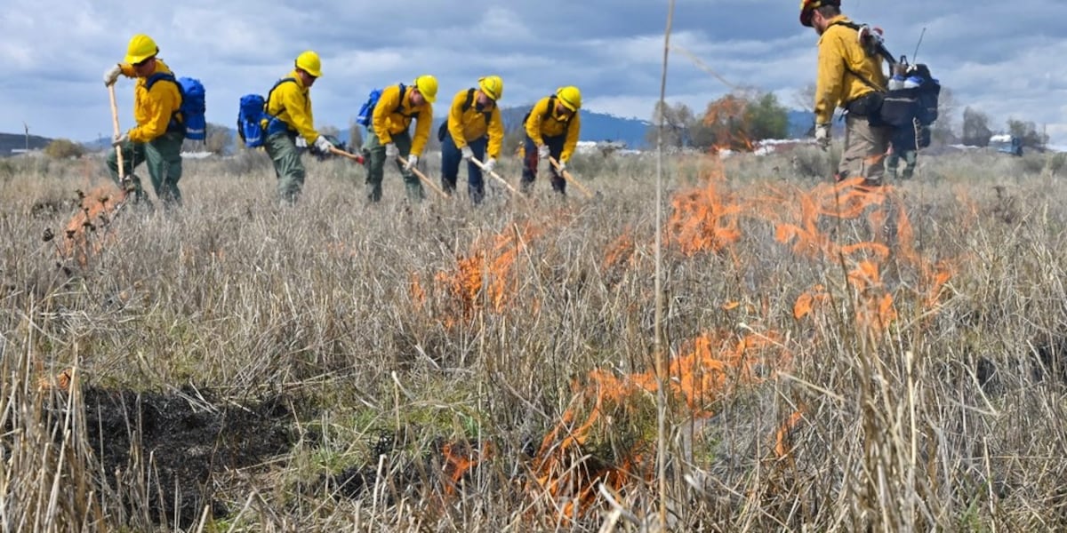 Oregon firefighters deployed to help with wildfires in Canada, other US states [Video]