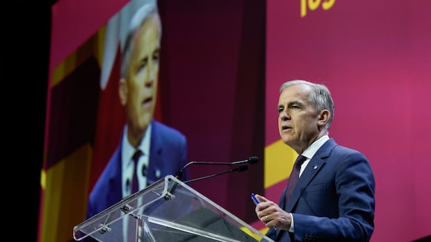 Some First Nations worry Carney’s major projects bill will only lead to more conflict [Video]