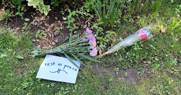 14-year-old charged with 1st-degree murder of elderly woman in Pickering, Ont. [Video]