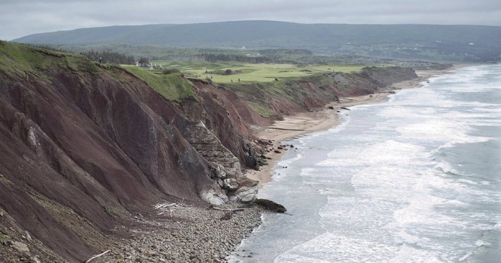 Cape Breton wildfire near Framboise being held: municipality [Video]