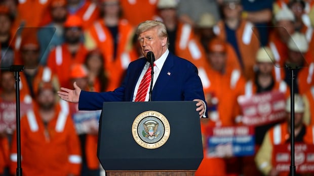 Trump says he plans to double steel and aluminum tariffs [Video]